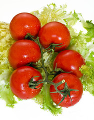 fresh tomatoes and lettuce