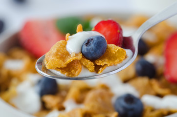 Closeup of a spoon with cereals and fruit