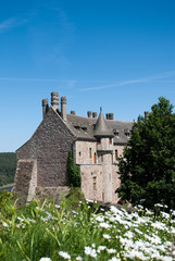 Fototapeta na wymiar Château de la roche-Jagu