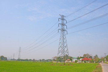 Electricity post and rice field