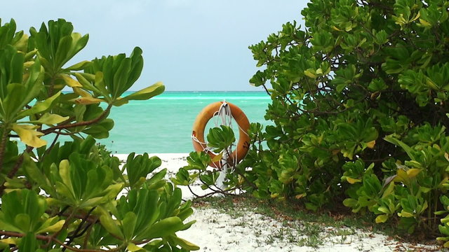 ring buoy