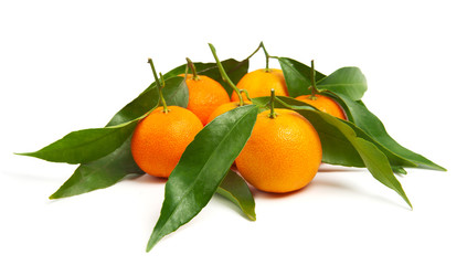 Tangerines with leaves isolated on white