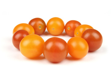 Two tomato teams