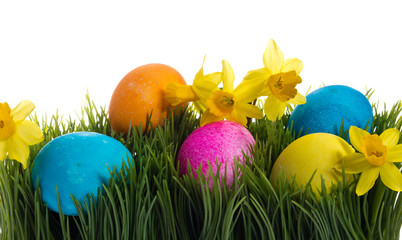 Fototapeta na wymiar Colorful Easter eggs and daffodils in grass