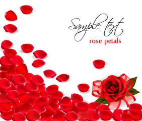 Background of red rose petals. Vector