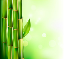 Bamboo background. Vector illustration.