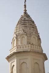 Obraz premium India, tower with parrots