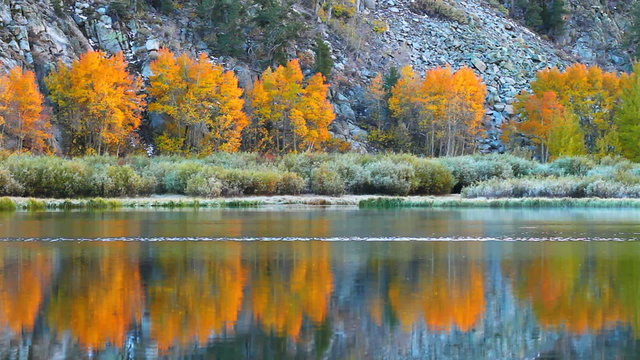 Lake reflections of fall foliage