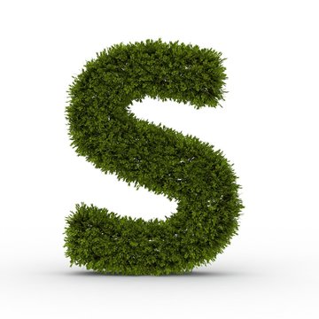 Buchstabe S Natur