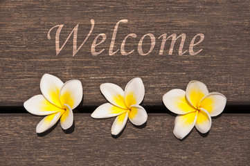 Panneau Welcome, fleurs de frangipaniers © Delphotostock