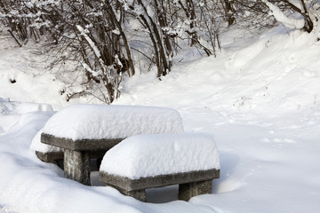 panchina sotto la neve.