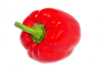 Rote Paprika auf weißem Hintergrund