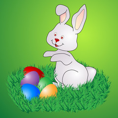 Bunny with eggs
