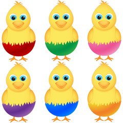 Chicken standing in egg. Easter design