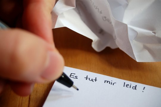 What is the difference between Es tut mir Leid and Entschuldigung? What is the difference between Es tut mir Leid and Entschuldigung?
