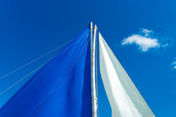 white and blue sails
