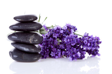 Fototapeta na wymiar stacked black pebbles stones and lavender flowers