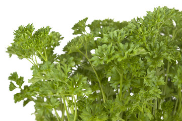 parsley