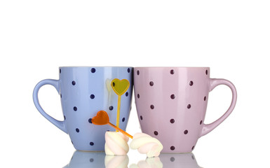 Two cups and two marshmallows with skewers and cup isolated