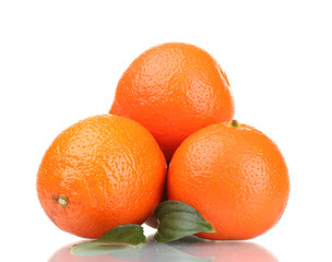 mineola fruits with leafs  isolated on white