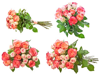 roses collection
