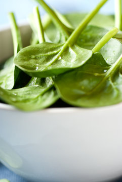 Closeup of fresh baby spinach in a bowl