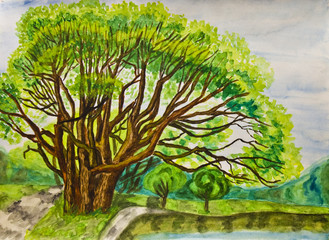 Big willow tree, painting © Iva