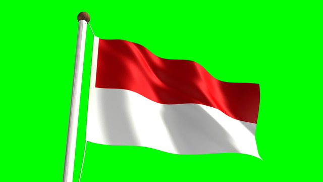 Indonesia flag (Loop & green screen)