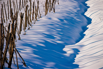 Neve e vigne