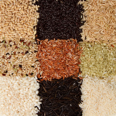 Rice background arranged in a checkerboard pattern