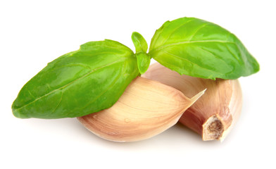 Garlic and fresh basil