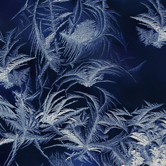 frost on the windowpane