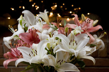 Celebration blooms with Christmas lights behind on a dark background