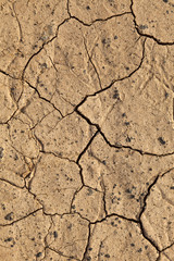 Dry cracked earth texture