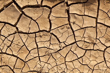 Dry cracked earth texture