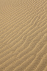Sand Dune Texture