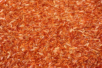 Fototapeta premium Brown rice