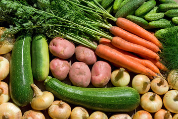 fresh homegrown vegetables