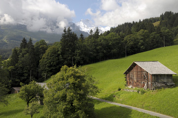 Chalets in fields above Grindelwald