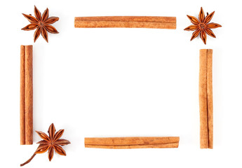 frame of truestar anisetree and cinnamon isolated on white