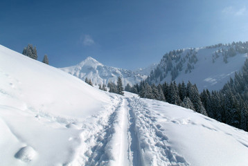 Fototapeta na wymiar Winter in Tirol