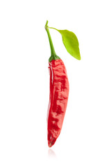 fresh chili pepper with leaf, isolated on white
