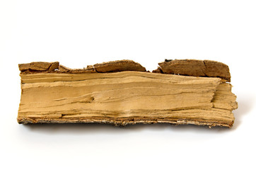 Holz