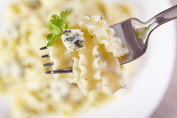 European cuisine. Pasta in cream sauce with blue cheese