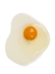 Raw  Egg