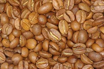 coffee grains