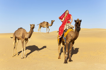 Woman in saree riding a camel Thar Desert, Rajasthan