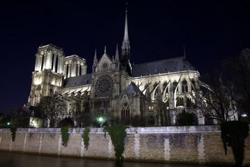 Fototapeta na wymiar Katedra Notre-Dame w nocy