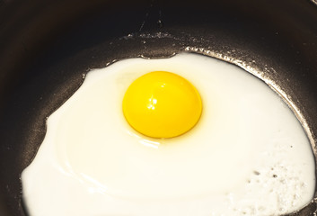 Fried egg