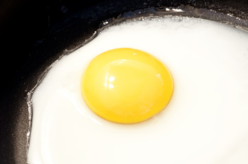 Fried egg